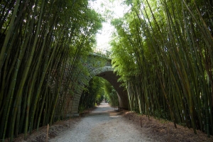 Vstupujeme do bambusária Prafrance u Anduze