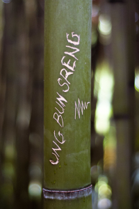 Jméno na bambusu