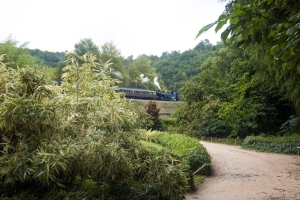 Nad bambusáriem jezdí výletní parní vlak