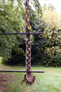 Průřez bambusem